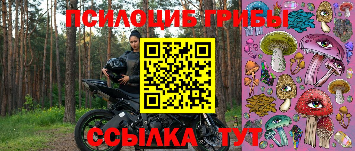 Галлюциногенные грибы мицелий Реж
