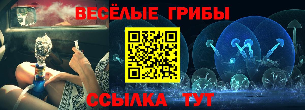 Галлюциногенные грибы мицелий  Вход с VPN  Галлюциногенные грибы Psilocybe  Реж 