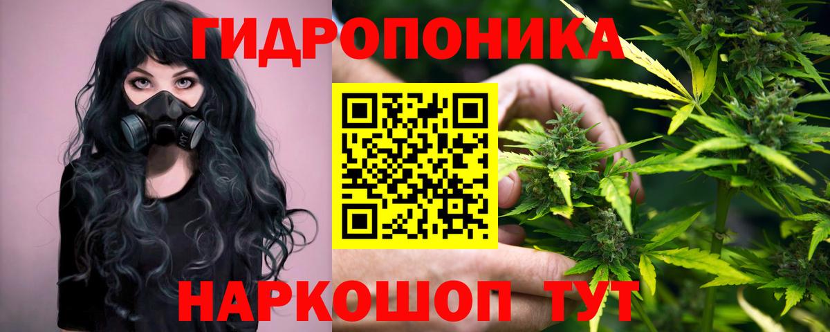 МАРИХУАНА Bruce Banner  Вход с VPN  Канабис индика  Реж  Канабис гибрид 